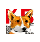 corgi KOBE's dog face（個別スタンプ：5）