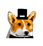 corgi KOBE's dog face（個別スタンプ：6）