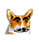 corgi KOBE's dog face（個別スタンプ：9）