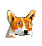 corgi KOBE's dog face（個別スタンプ：11）