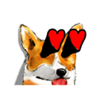 corgi KOBE's dog face（個別スタンプ：12）