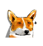 corgi KOBE's dog face（個別スタンプ：15）