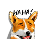 corgi KOBE's dog face（個別スタンプ：16）