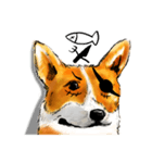 corgi KOBE's dog face（個別スタンプ：19）