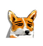 corgi KOBE's dog face（個別スタンプ：20）