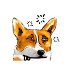 corgi KOBE's dog face（個別スタンプ：21）