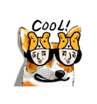 corgi KOBE's dog face（個別スタンプ：25）