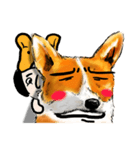 corgi KOBE's dog face（個別スタンプ：26）