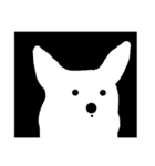 corgi KOBE's dog face（個別スタンプ：28）
