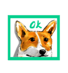 corgi KOBE's dog face（個別スタンプ：30）