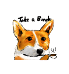 corgi KOBE's dog face（個別スタンプ：32）