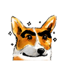 corgi KOBE's dog face（個別スタンプ：38）