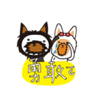 Yorkshire Family（個別スタンプ：19）