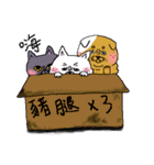 I am a cat ！！（個別スタンプ：19）