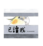 Daily of birds（個別スタンプ：2）