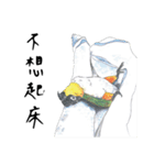 Daily of birds（個別スタンプ：3）