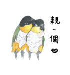 Daily of birds（個別スタンプ：8）