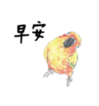 Daily of birds（個別スタンプ：11）