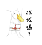 Daily of birds（個別スタンプ：14）