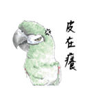 Daily of birds（個別スタンプ：16）