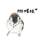 Daily of birds（個別スタンプ：20）
