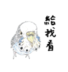 Daily of birds（個別スタンプ：22）