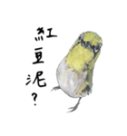 Daily of birds（個別スタンプ：26）