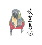 Daily of birds（個別スタンプ：27）