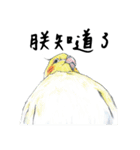 Daily of birds（個別スタンプ：30）