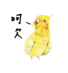 Daily of birds（個別スタンプ：32）