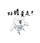 Daily of birds（個別スタンプ：33）