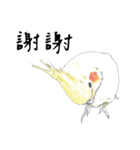Daily of birds（個別スタンプ：36）
