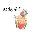 Daily of birds（個別スタンプ：37）