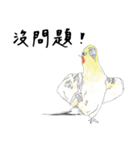 Daily of birds（個別スタンプ：39）