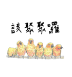 Daily of birds（個別スタンプ：40）