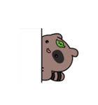 what's a raccoon（個別スタンプ：10）