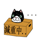 Black and white cat (Ou bei cat)（個別スタンプ：4）