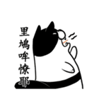 Black and white cat (Ou bei cat)（個別スタンプ：11）