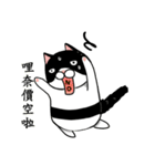 Black and white cat (Ou bei cat)（個別スタンプ：16）