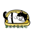 Black and white cat (Ou bei cat)（個別スタンプ：17）