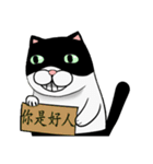 Black and white cat (Ou bei cat)（個別スタンプ：27）