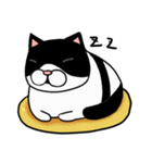 Black and white cat (Ou bei cat)（個別スタンプ：29）