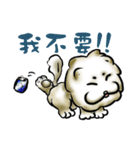 Chow Chow life（個別スタンプ：29）