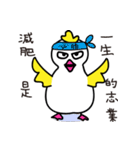 Coo Coo Chick 4（個別スタンプ：7）