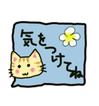 吹き出しの可愛い猫（個別スタンプ：14）