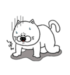 丸々おねこ（個別スタンプ：31）