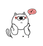 丸々おねこ（個別スタンプ：35）