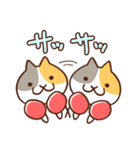 猫ボクサー（個別スタンプ：7）