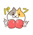 猫ボクサー（個別スタンプ：23）