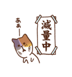 猫ボクサー（個別スタンプ：35）